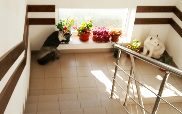 Uyut na Dekabristov Guest House