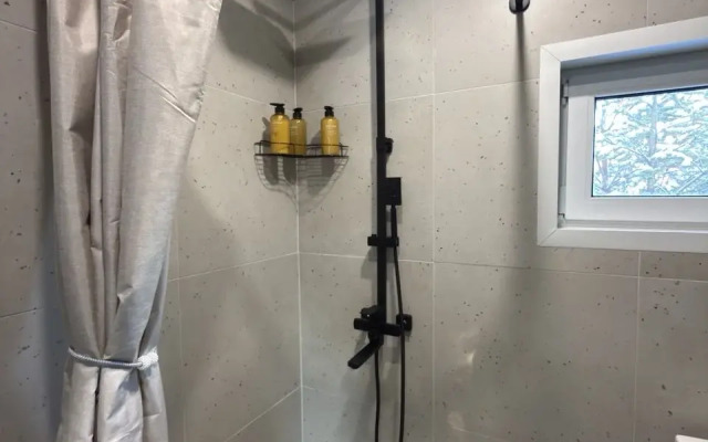 Частный дом в лесу