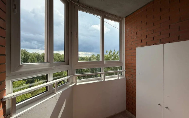 Ryadom s novym Avtovokzalom Flat