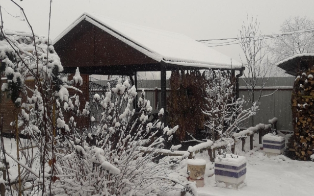Medvezhiy Ugol Guest House