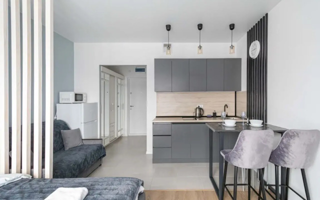 Apartments Komfort S Domashnim Kinoteatrom V Zhk Ilyinskie Luga