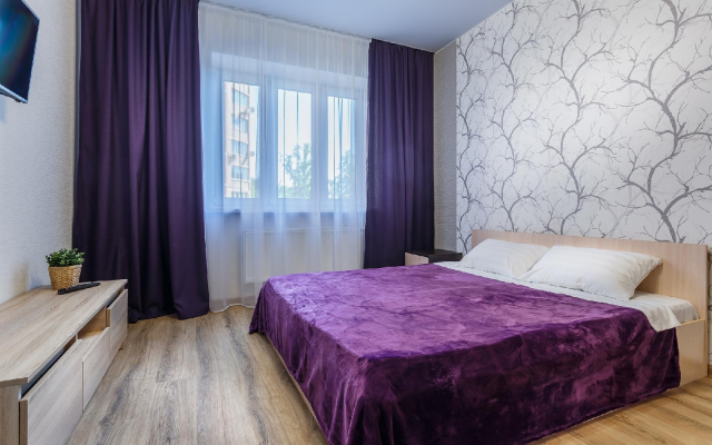 Svetlaya studiya Flat
