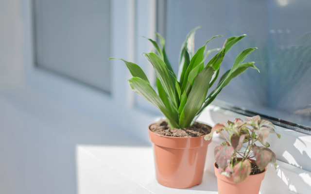 Апартаменты 9 Ночей Лежневская