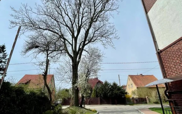 Квартира на Воздушной улице 66