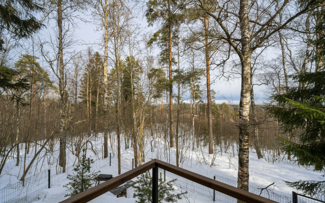 Lesnoy Voskhod Chalet