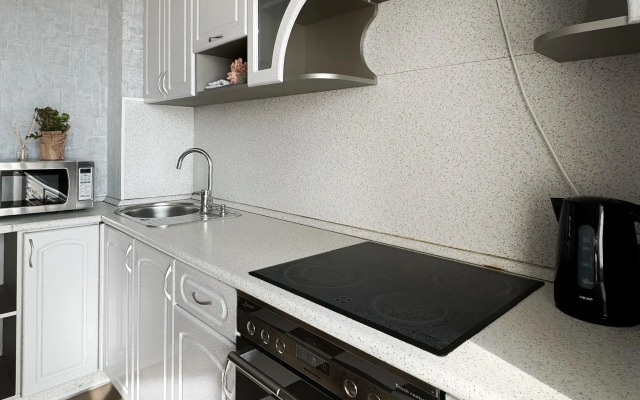 Dvukhkomnatnaya kvartira v tsentre goroda Flat