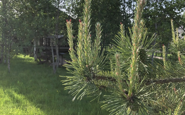 Гостевые дома в деревне BarnHouse Village