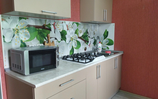 Uyutnaya V Tsentre Goroda Flat