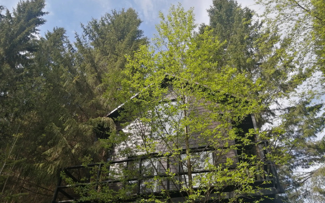 Opushka Dom Sredi Derevyev Glamping