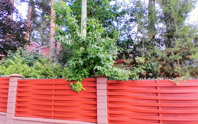 Гостевой дом Элитная дача у Финского залива