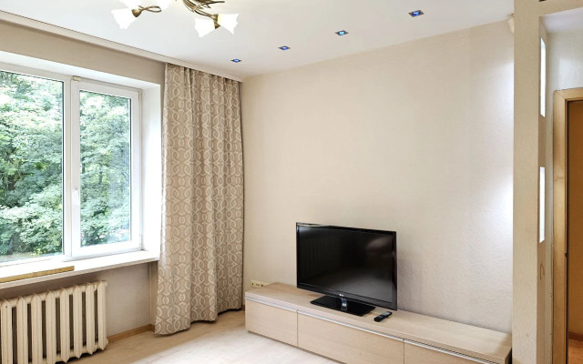 Uyutnaya V Tsentre Flat