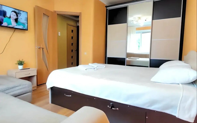 Uyutnaya Svetlaya v Tsentre Flat