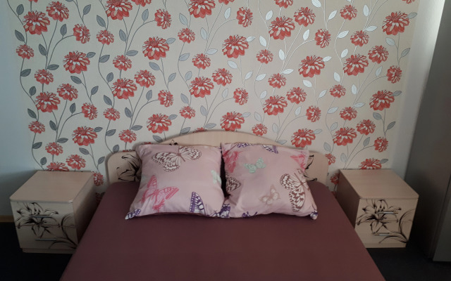 Апартаменты Студия на улице Мира 8А - фото 4