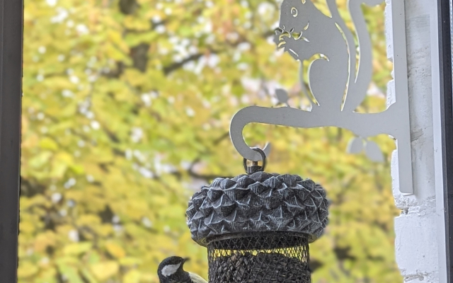 Квартира Белочка