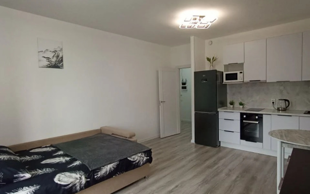 Studiya Pervaya Na Neve V Gorode Pervykh Flat
