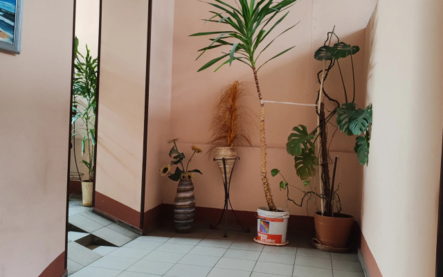 Апартаменты Янтарные у Музея Янтаря