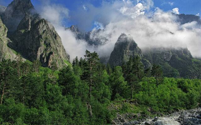 Мини-Отель Арфа