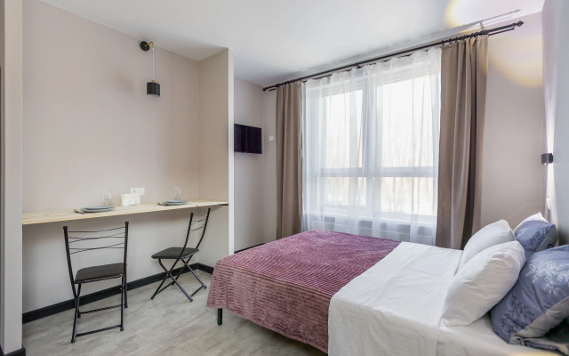 Studiya Na P. Romanova Apartments