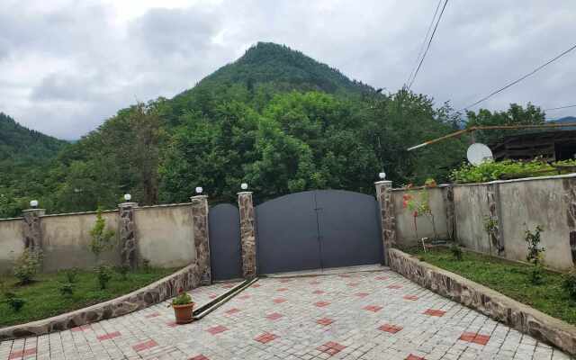 Dioscuria Borjomi Guest House