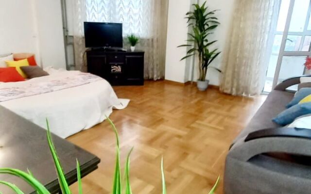 Smile Apartments 3kh Komnatnye S Vidom Na Naberezhnuyu Apartments