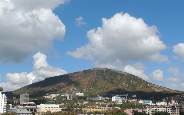 Umnaya S Alisoy Na Tsvetnike Flat