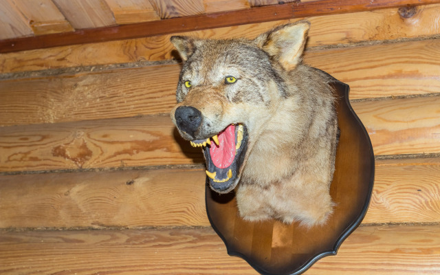 Гостевой Дом Лесниково