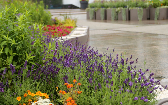 Апартаменты Студия ЖК Граф Орлов