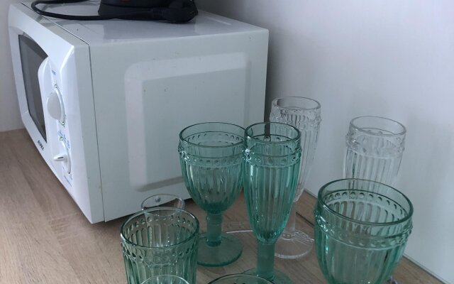 Mint Studio Apartment