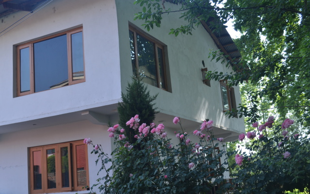 Chinar Bay Hotel