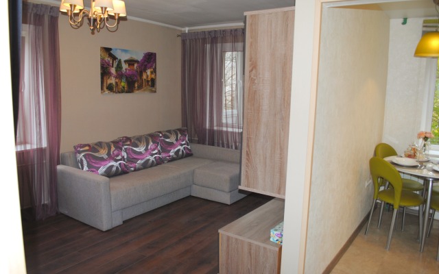 Na Chernyakhovskogo 24 Apartments
