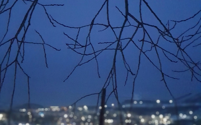 Kraft House Kamchatka Guest House