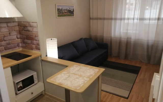 Comfortable Studio Vladimir Apartments