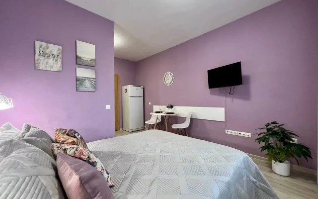 Studiya Gosti Doma u metro Pionerskaya Flat
