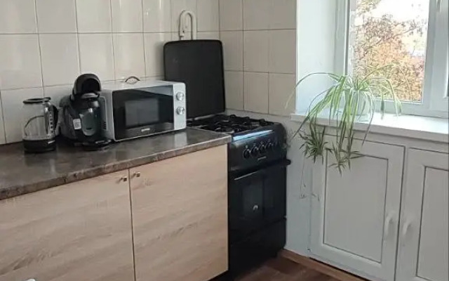 V tsentre goroda Flat