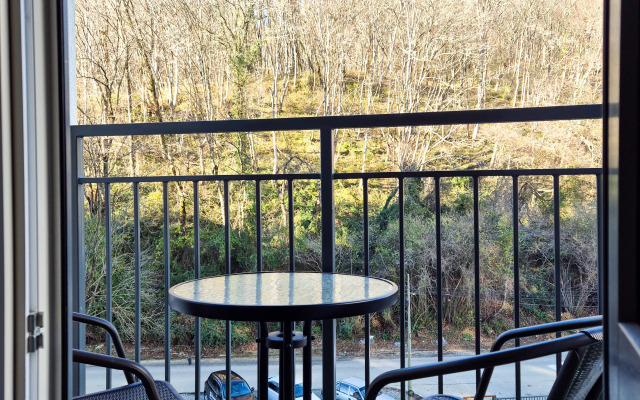 Studiya Zhk Letniy Apartments