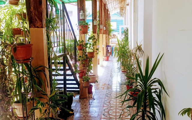 Гостевой дом Кара-Дениз