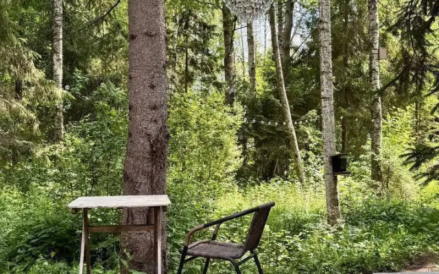 Бунгало С террасой и чаном