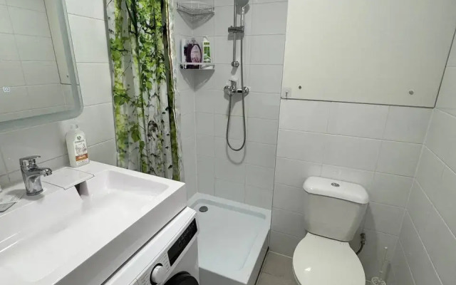 Studiya V Moskve Flat