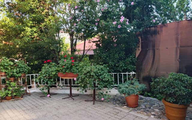 Bambukovy Ray Private House
