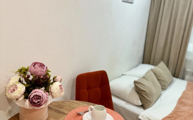 Апартаменты - Студия №3