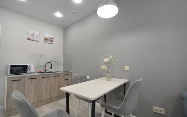 Studiya V Tsentre Kazani Apartments