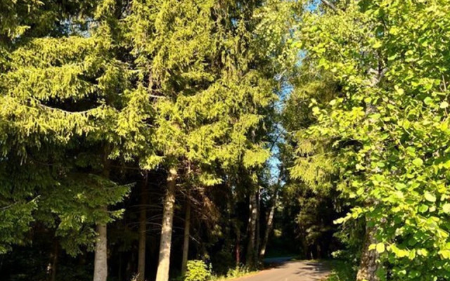 Частный дом четырехкомнатная дача, 95 м²