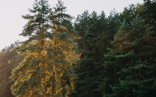 Pine River Country Hotel
