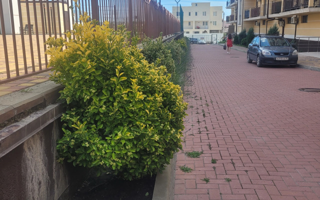 Квартира Видовая у Моря