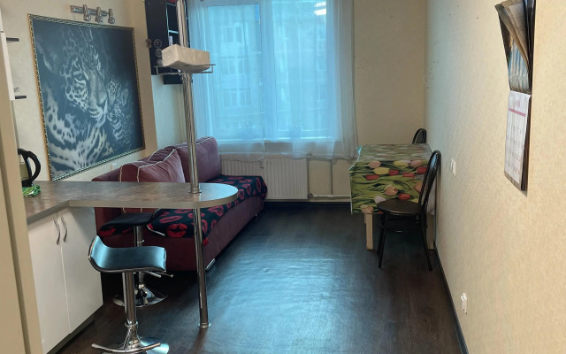 Uyutnaya ryadom s parkami Flat