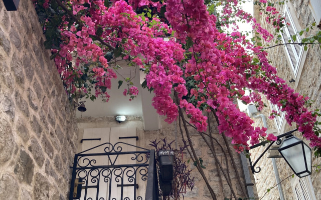 Apartments Budva City De Lux
