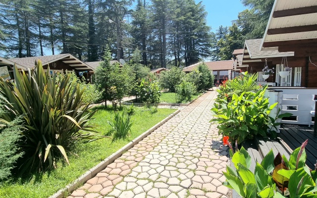 Eco House Pitiunt Resort Hotel
