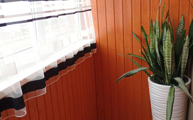 Квартира Уютненькая в Белгороде