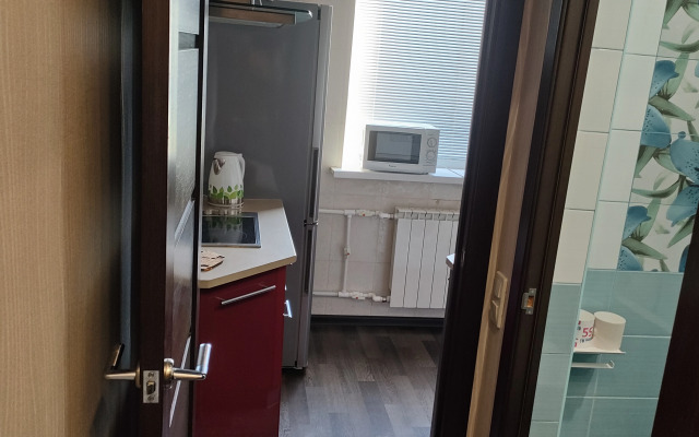 Uutnye na Peshkova 55 ryadom s bolnitsey Vodnikov Apartments