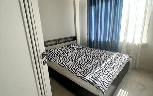 Na Shevtsovoy 3 Flat